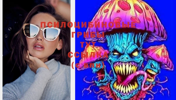тгк Покачи