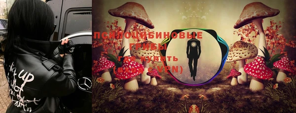 тгк Покачи