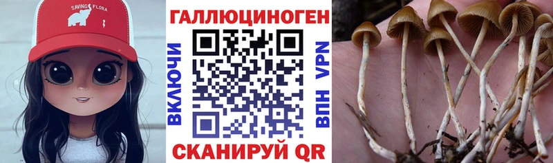 Псилоцибиновые грибы GOLDEN TEACHER  Купить закладки  Сосновоборск 